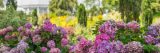 Photo of the Perennial Garden