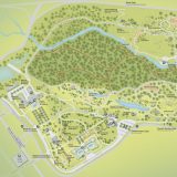 Map of NYBG