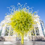 Photo of Chihuly Art Work