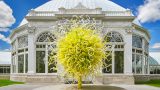 Photo of Chihuly