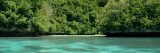 Image of the ocean and the tree line for the Rock Island of Palau.