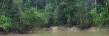 Image of river Rio Branco Rondonia.