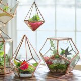 succulents, stone, and moss geodesic dome terrarium