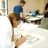 Photo of landscape design students at work.