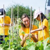 Gardening