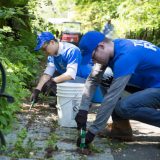 Volunteers at work