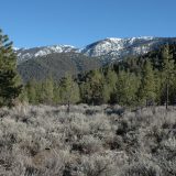 View of trees and snow covered mountains.