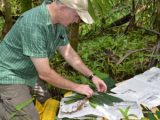 Image of scientist collecting herbarium samples.