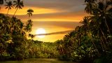 Photo of a tropical sunset