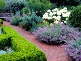 Brick path surround by plants and flowers in the herb garden