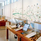 Display cases featured in the Plants & Fungi exhibition.