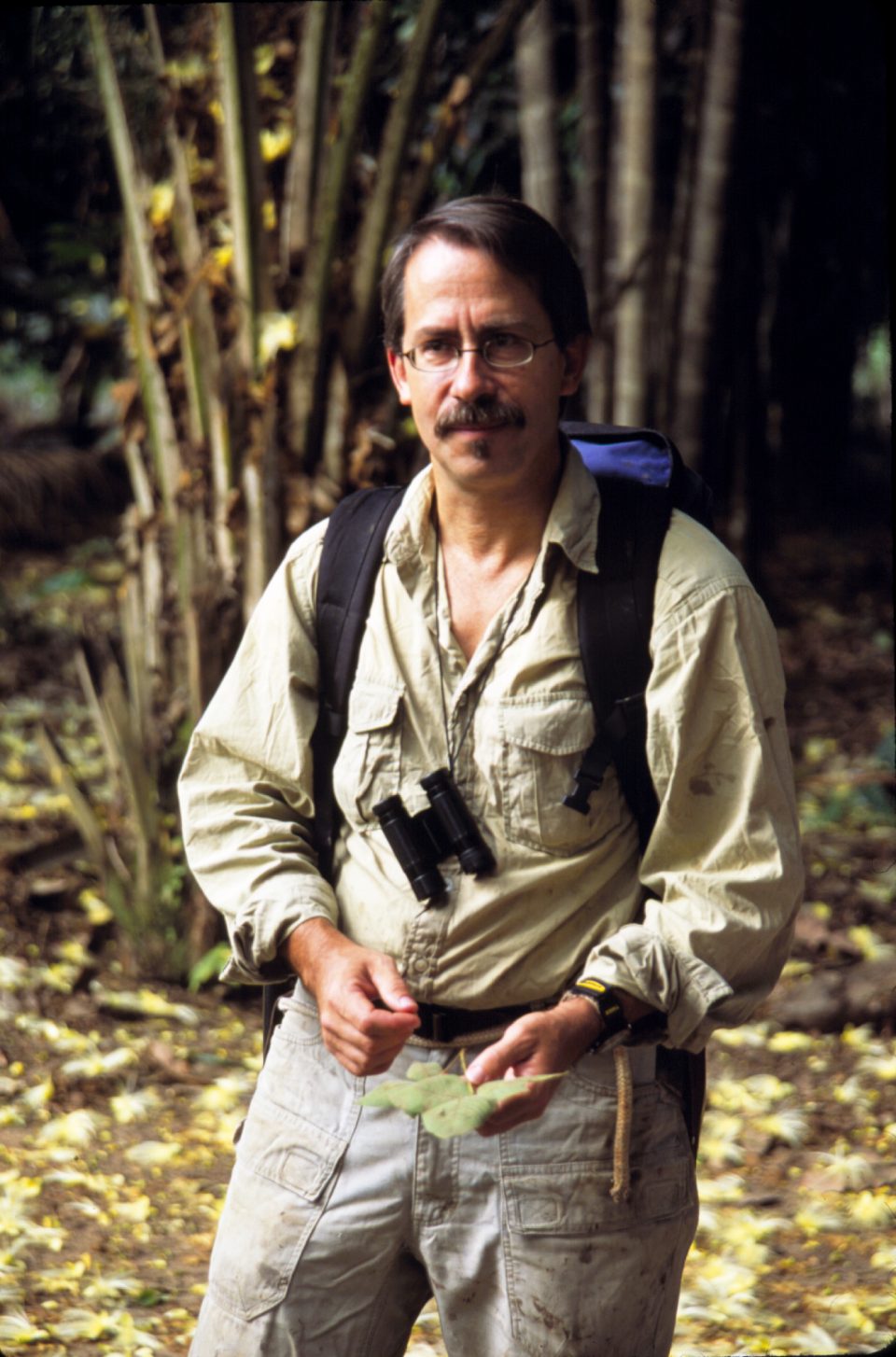 Douglas C. Daly » New York Botanical Garden