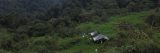 View of hut in Colombia's Eastern Andean Piedmont.