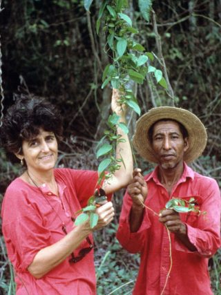 Two scientists holding a green vine.
