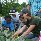 Garden staff showing how to produce organic vegetable garden with children.
