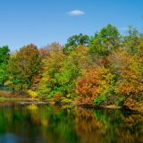 Bridge, Twin Lakes, Bridge at Twin Lakes