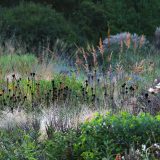 A subdued yet colorful landscape designed by Cassian Schmidt.