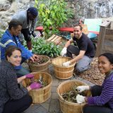 BGU Staff sorting leaves and soil