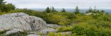 Image of rocks and plant hilltops