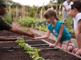 little girl getting seeds in the family garden