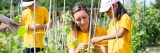 Photo of kids taking part in the Children's Gardening Program