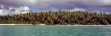 Image of the beach and palm trees in Micronesia.