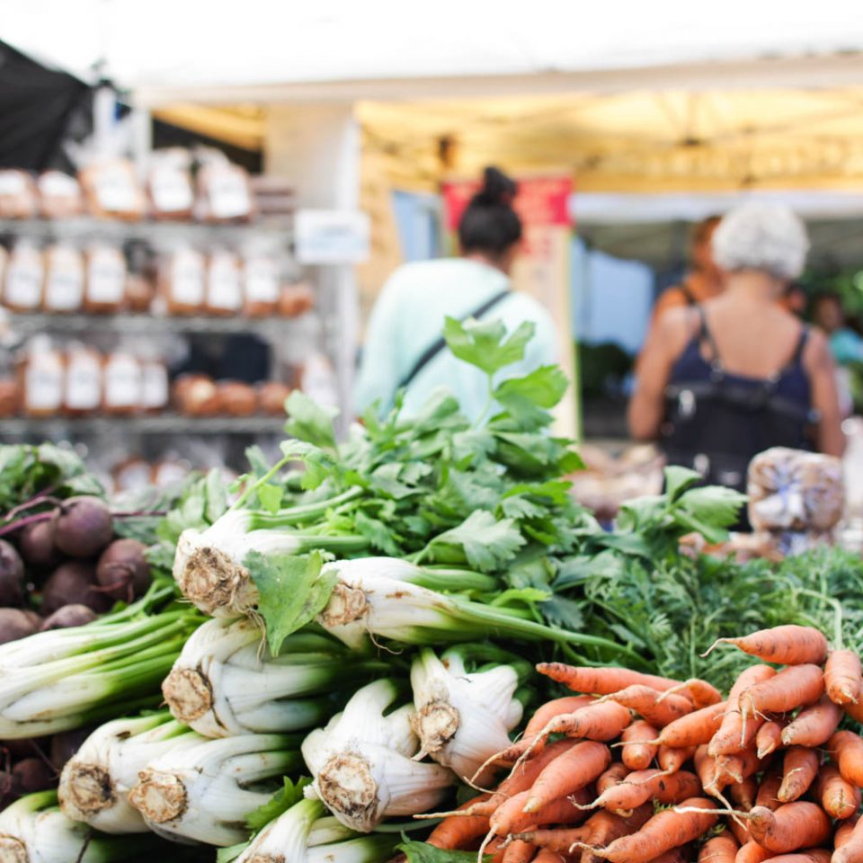 Home » New York Botanical Garden