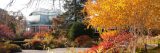 Shrubs, trees, and other plants showing their fall colors in the Perennial Garden.
