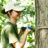 Garden staff and visitors working on a Citizen Science project measuring trees.