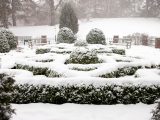 Herb Garden - Winter