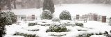 Snow covered herb garden