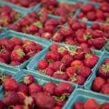Photo of strawberries