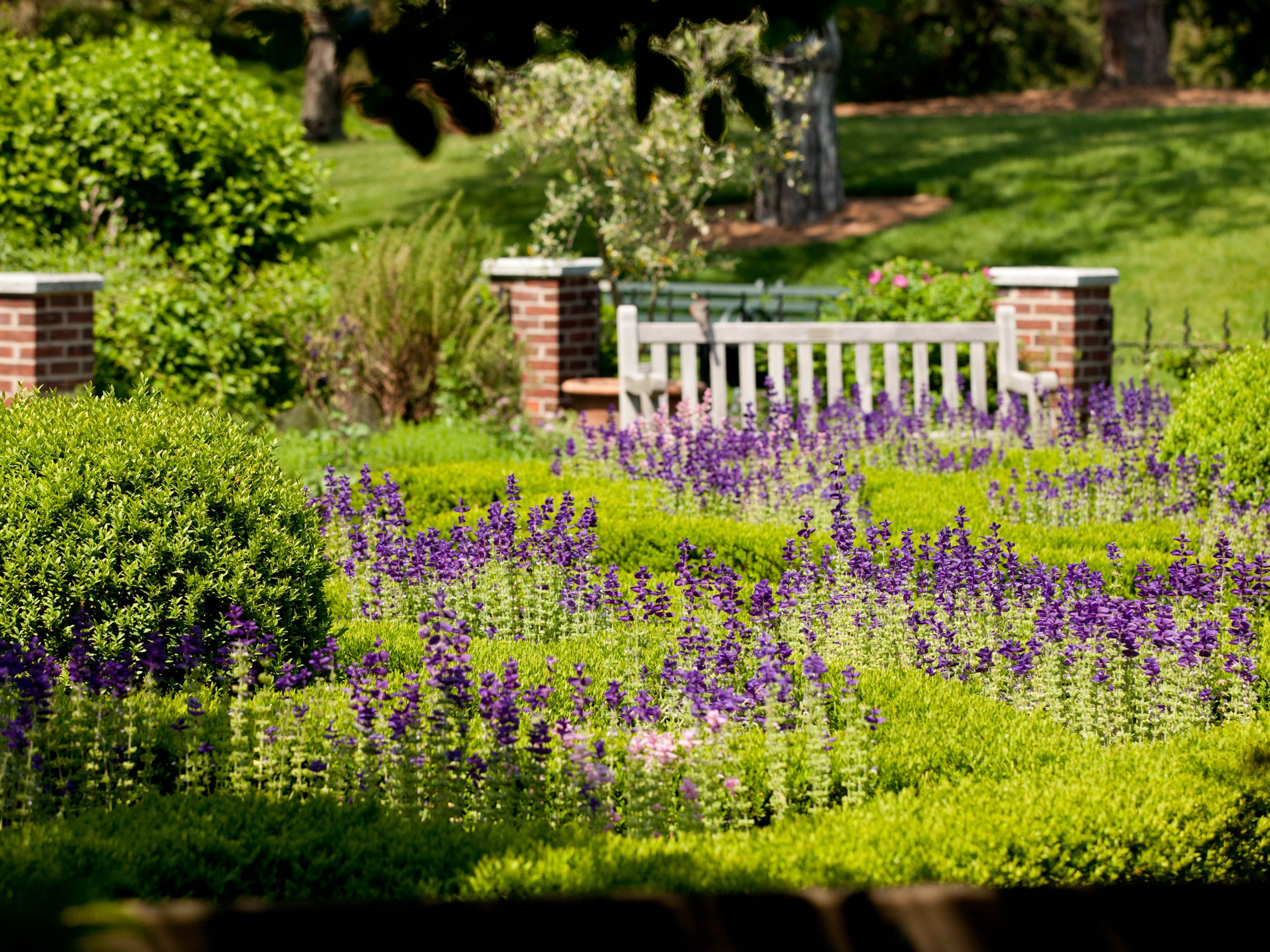 Herb Garden New York Botanical Garden