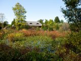 Wetland Trail - Fall