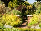 Herb Garden - Fall