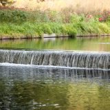 Native Plant Garden Waterfall