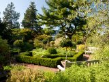 Herb Garden - Fall