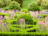 Herb Garden - Summer