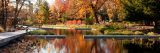 Red and orange fall colors in the Native Plant Garden