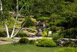 Waterfall and view of green grass int he rock garden during the summer