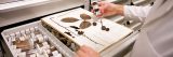 Herbarium sample being reviewed