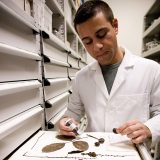 Photo of the Herbarium