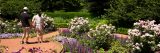 Couple walking in Home Gardening Center with small purple flowers