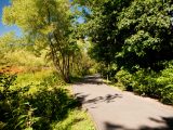 Wetland Trail - Summer