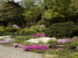 Photo of the Rock Garden