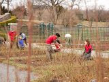 SOPH Students working in the rose garden during the winter.