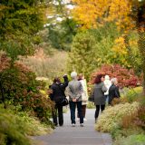 A group tour in the Perennial Garden during the fall.