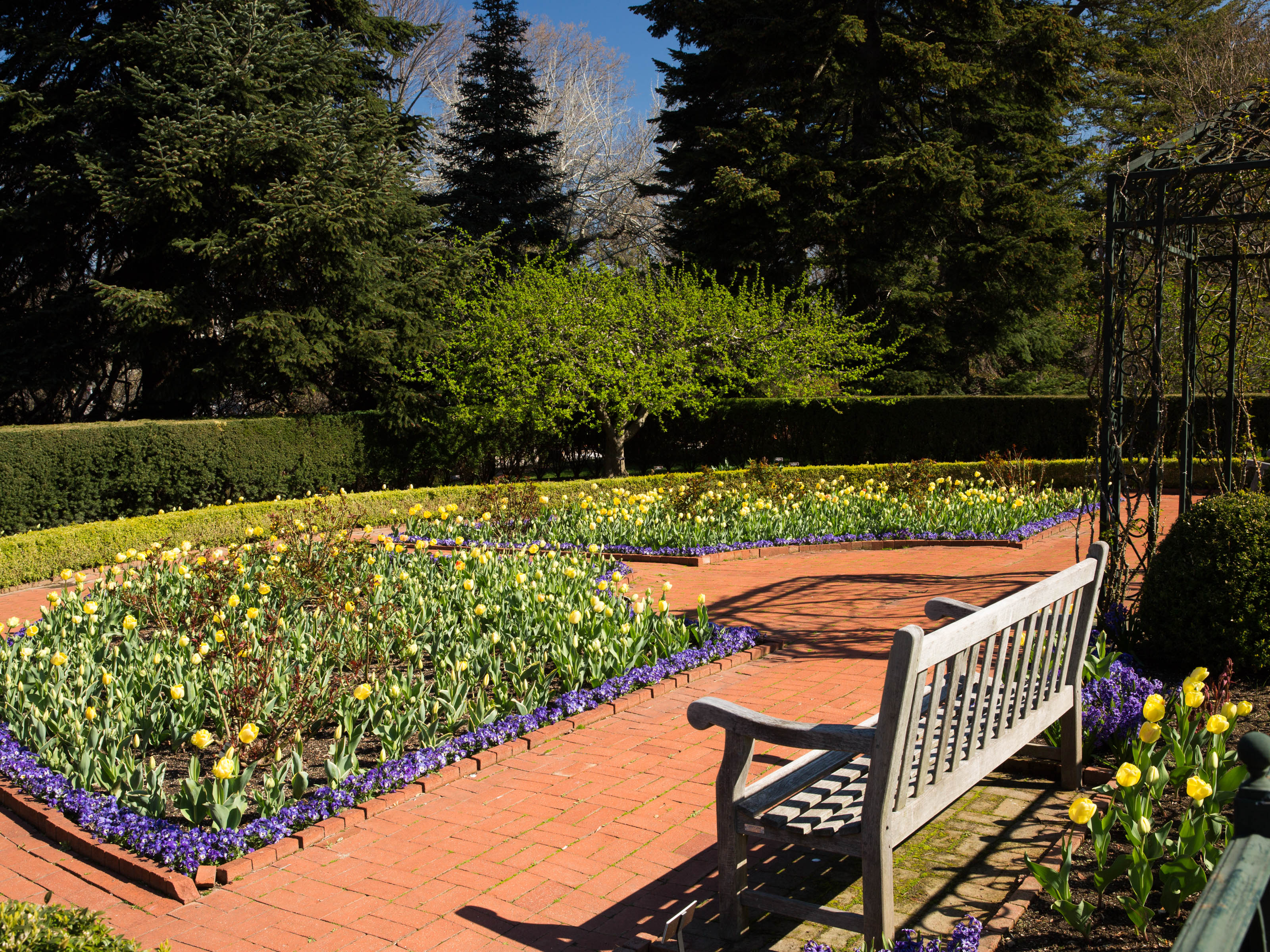 Home Gardening Center » New York Botanical Garden