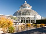 Conservatory Courtyard with waterlilies and lotuses in the fall.