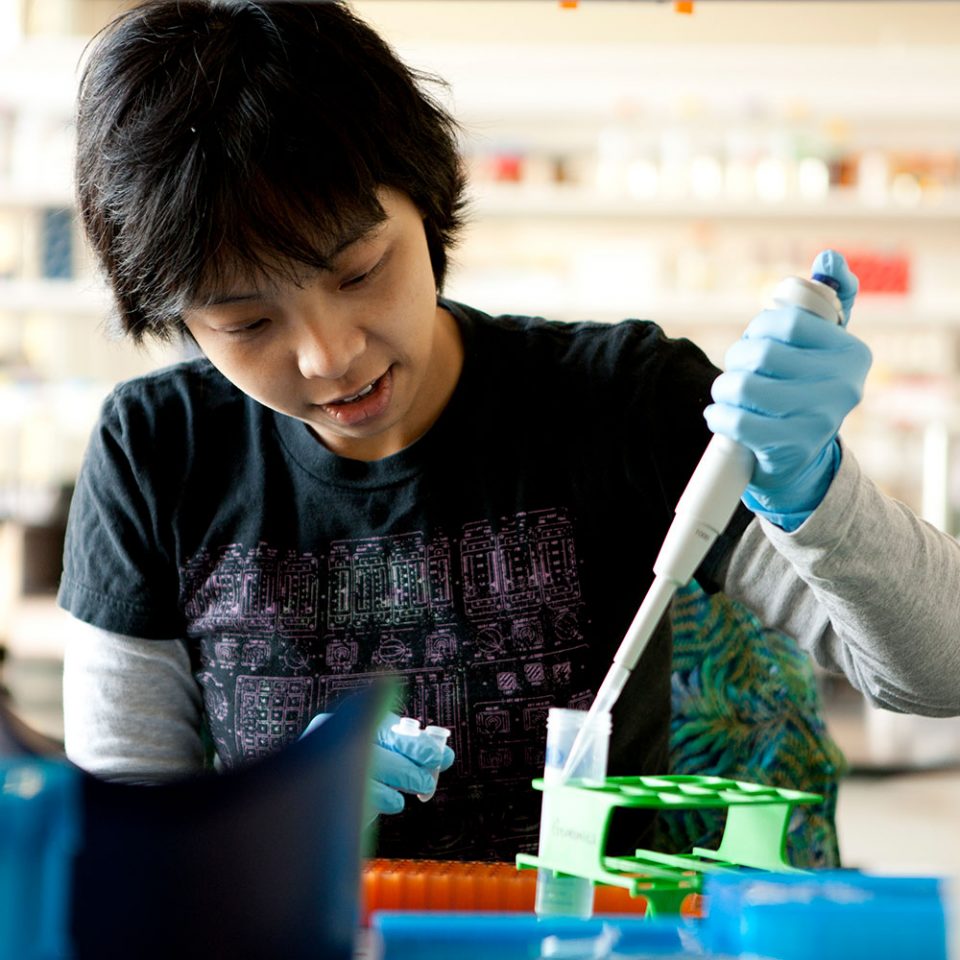 Science Programs & Departments | New York Botanical Garden